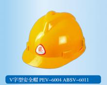 V型塑料PEV-6004